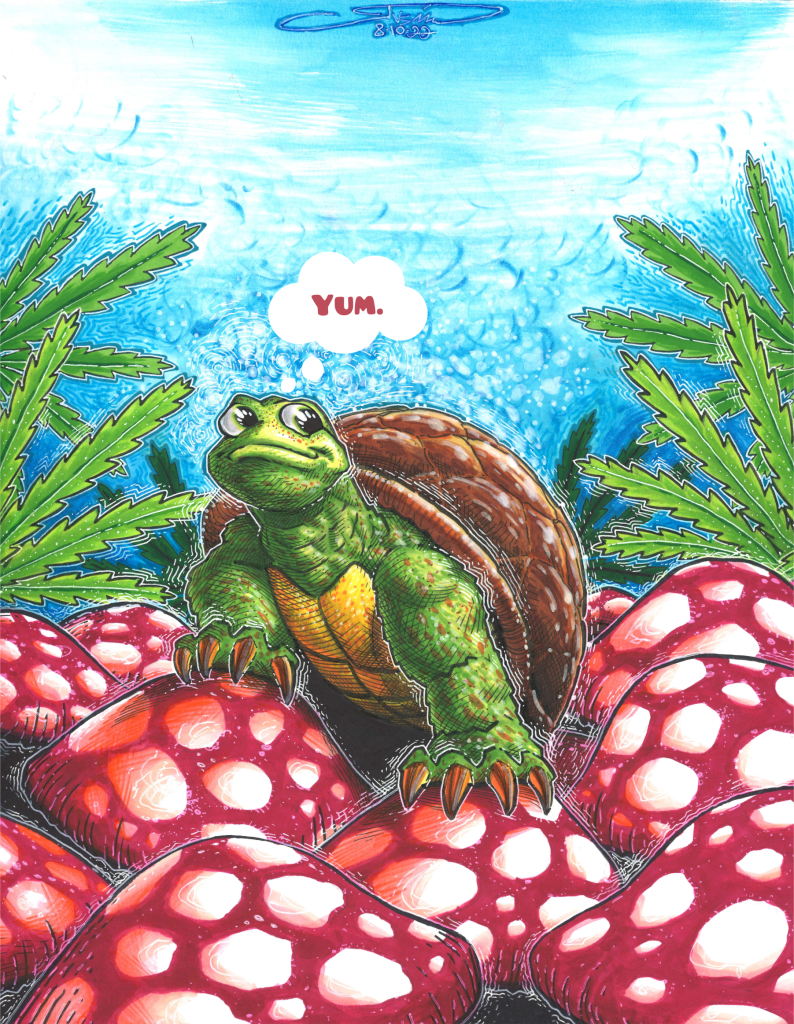 Cannabis-Infused Caramel Turtle