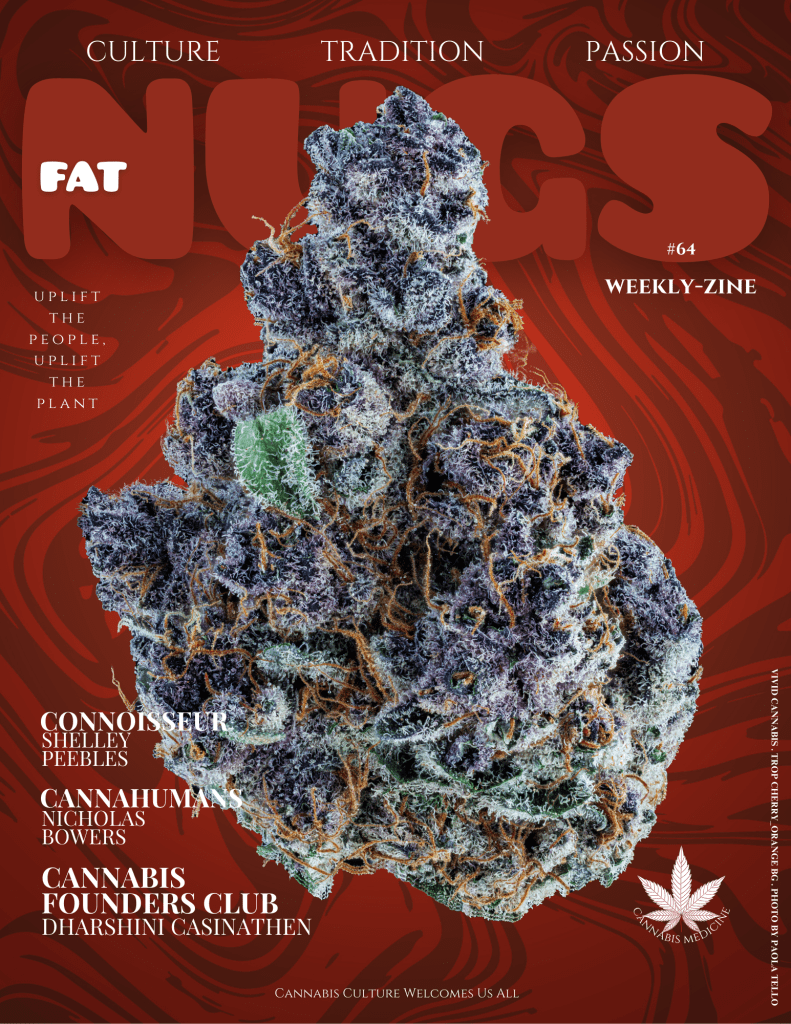 Fat Nugs Weekly Zine Volume 64