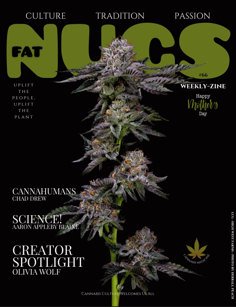 Weekly Zine Volume 66