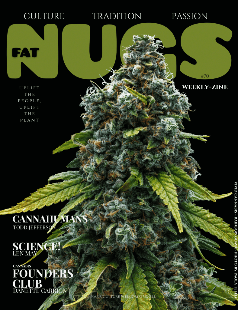 VOL 70 WEEKLY ZINE COVER