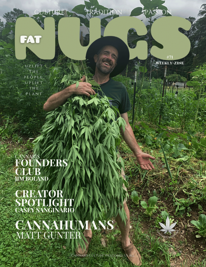 FNM Weekly Zine Volume 71