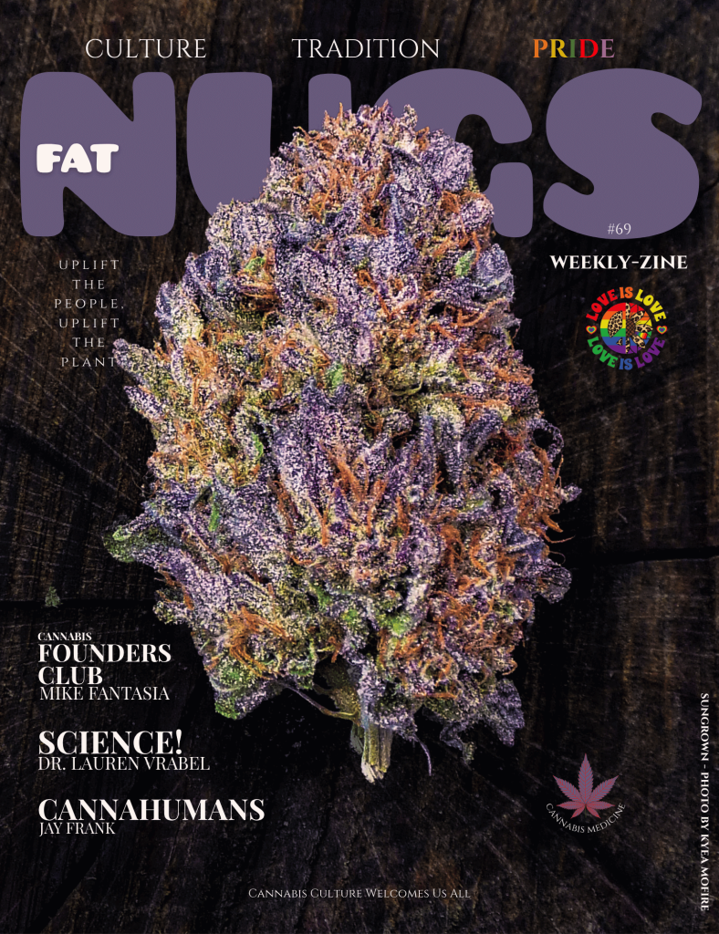 weekly zine volume 69