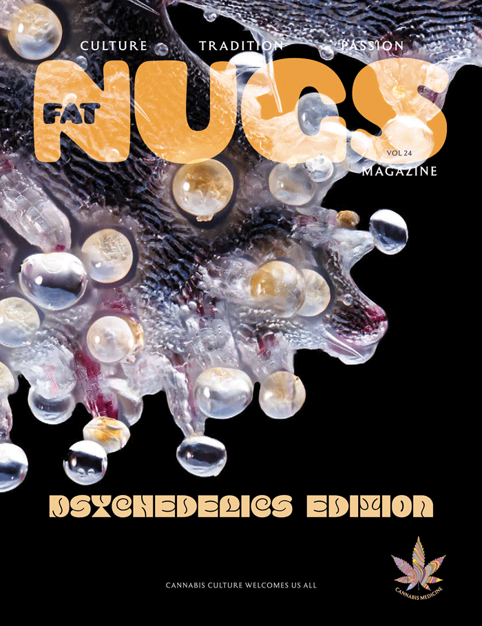 Check out the Psychedelics Edition—diving into magic mushrooms, LSD, ayahuasca, and more powerful tools for healing, growth, and exploration.