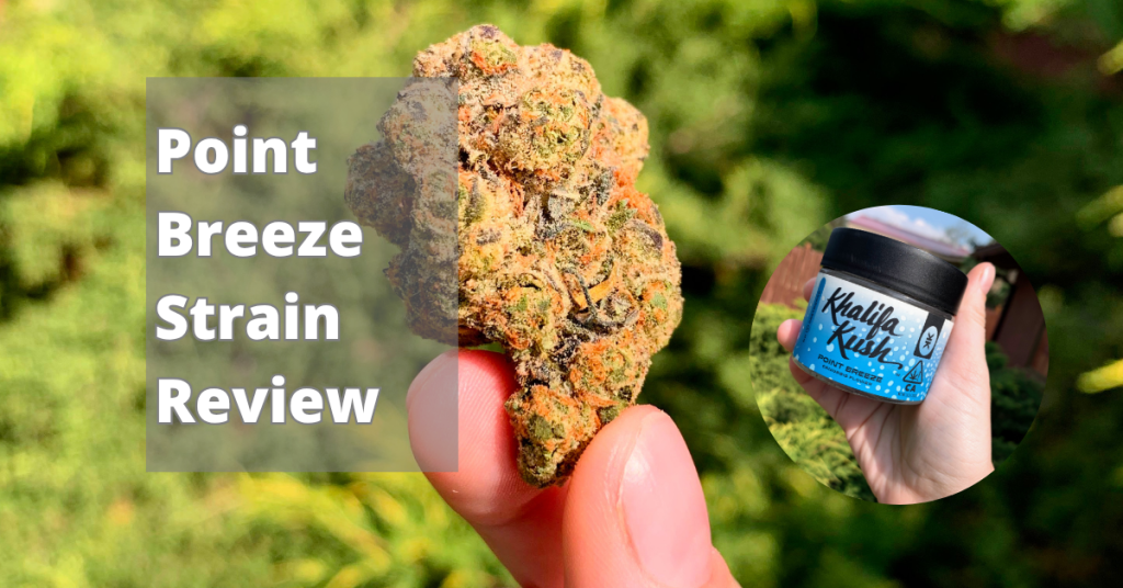 point breeze khalifa kush strain review cover image