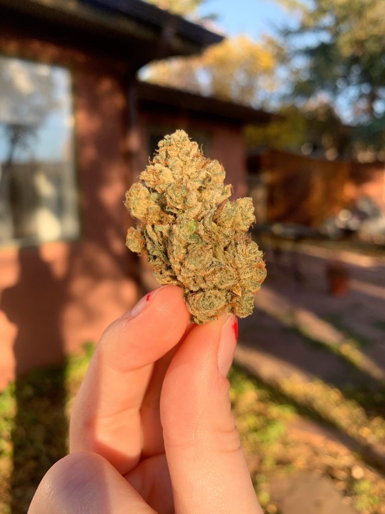 Nug of KK by Khalifa Kush