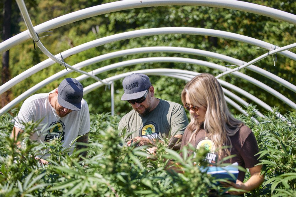 HSC-1_emerald triangle tour