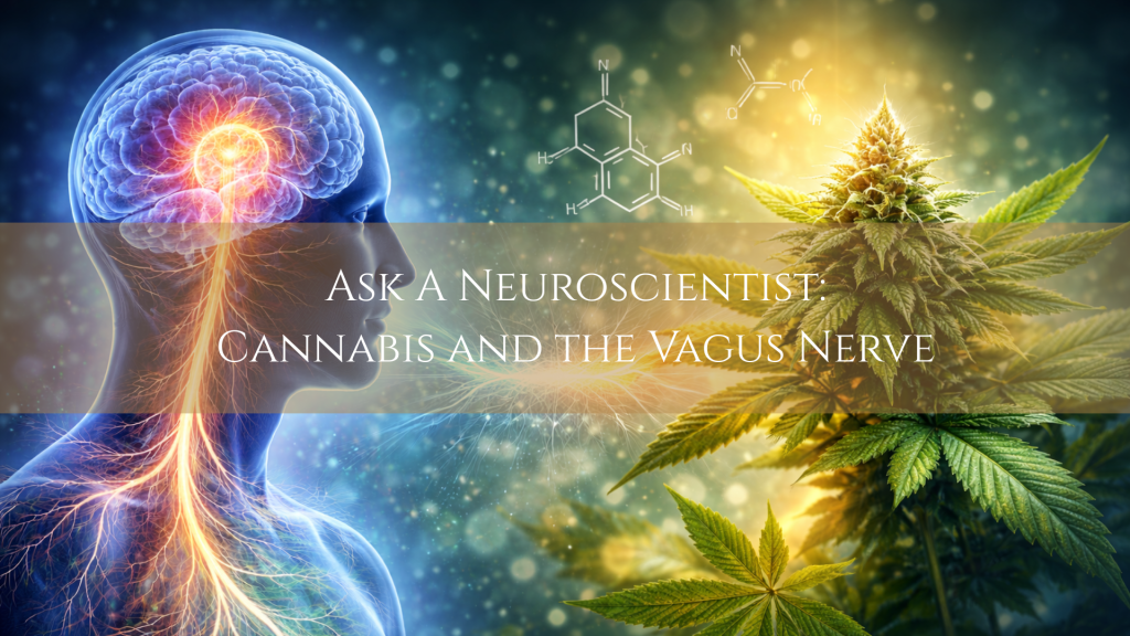 cannabis as vagus nerve medicine cover image