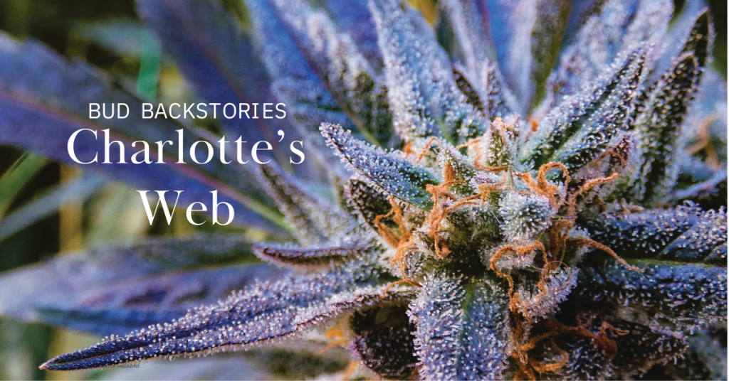 Charlottes Web Cover image