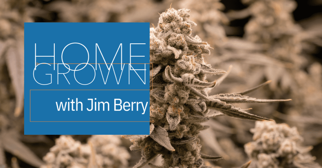 phenohunt home growing cover image