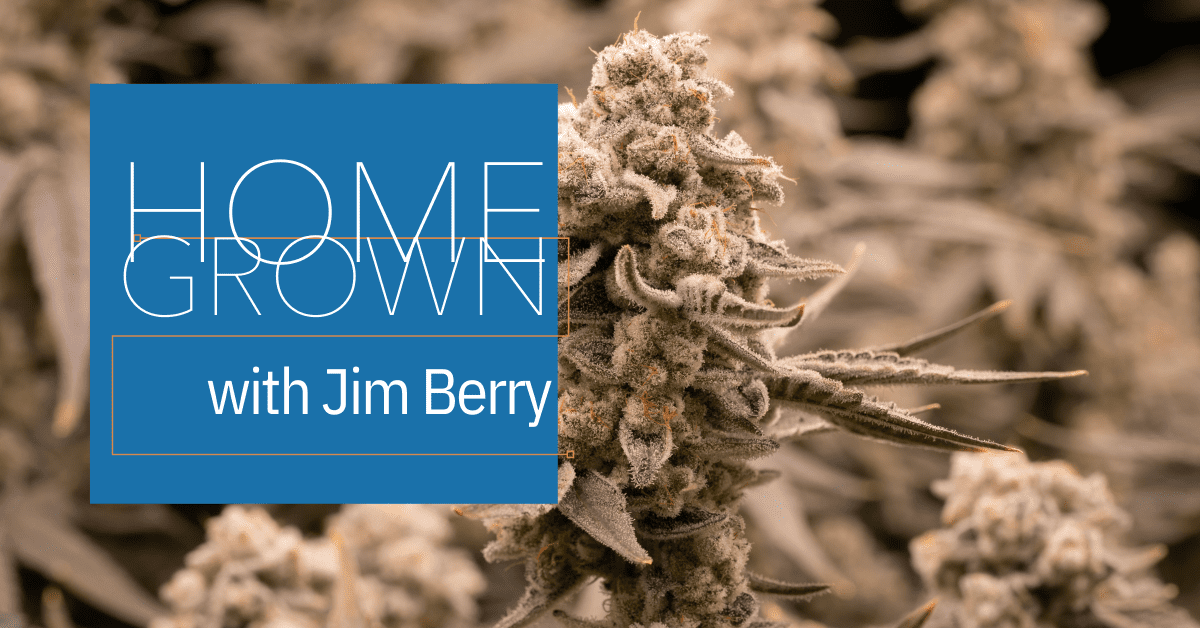 phenohunt home growing cover image