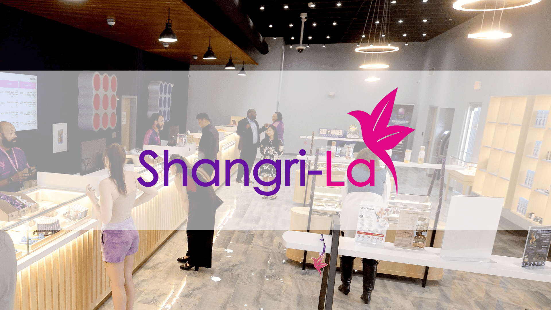 Shangri-La Dispensaries _Press Release Cover Image (1)