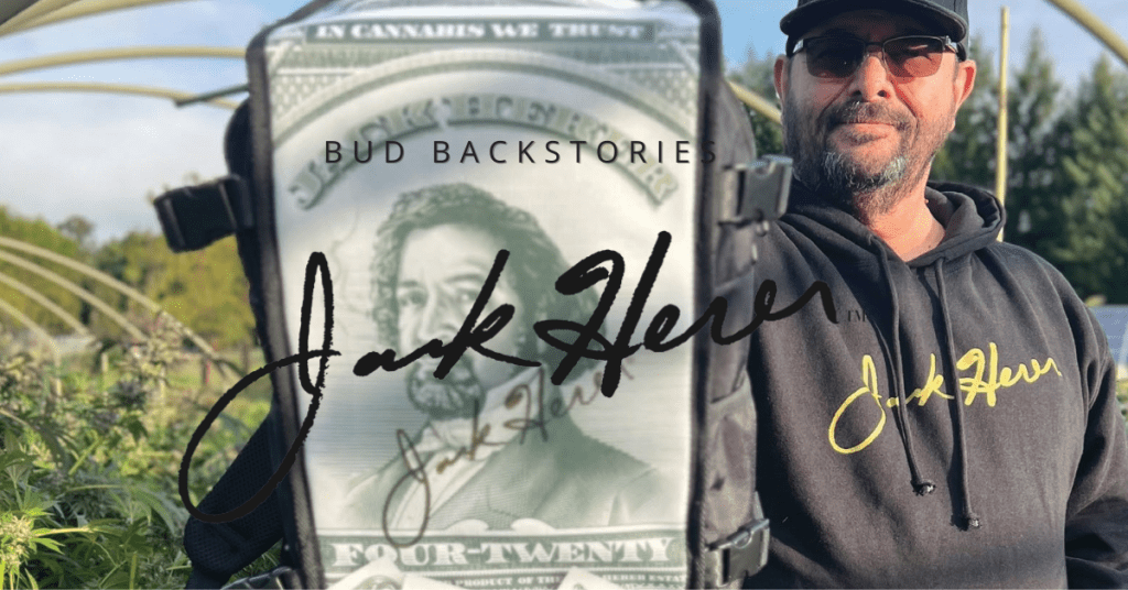 jack herer cover image