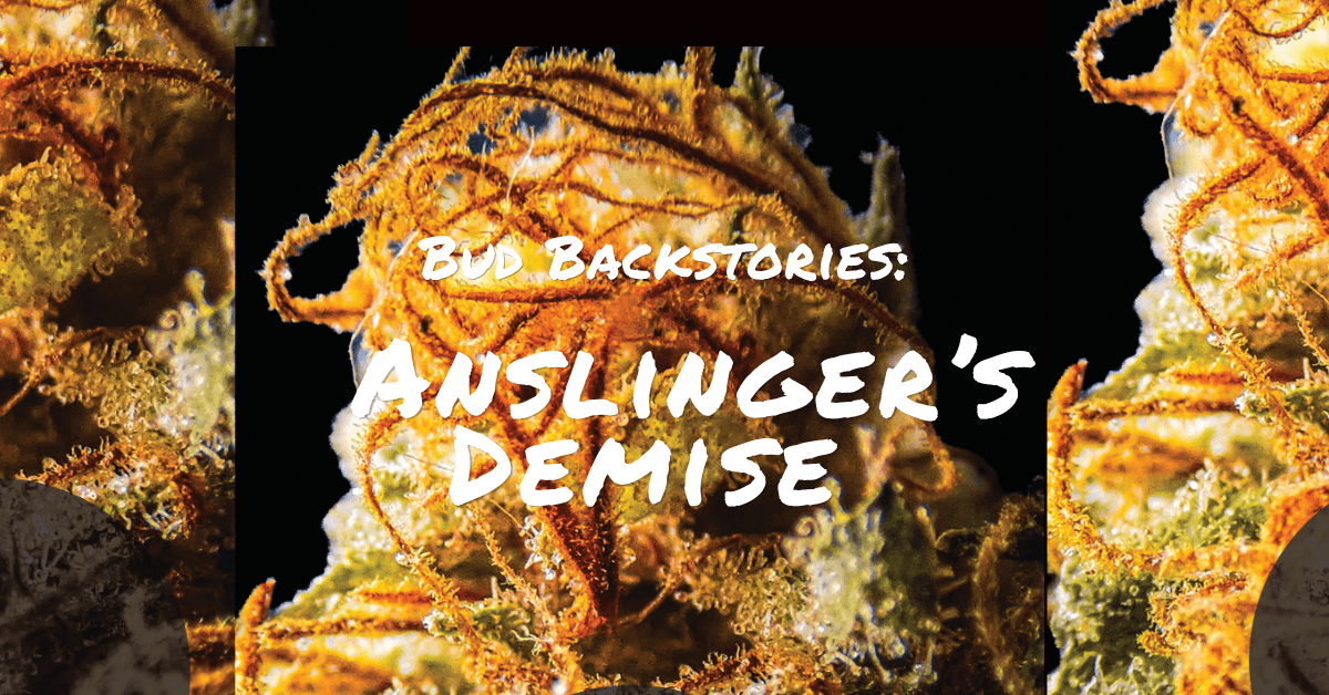 Anslinger's demise cover image