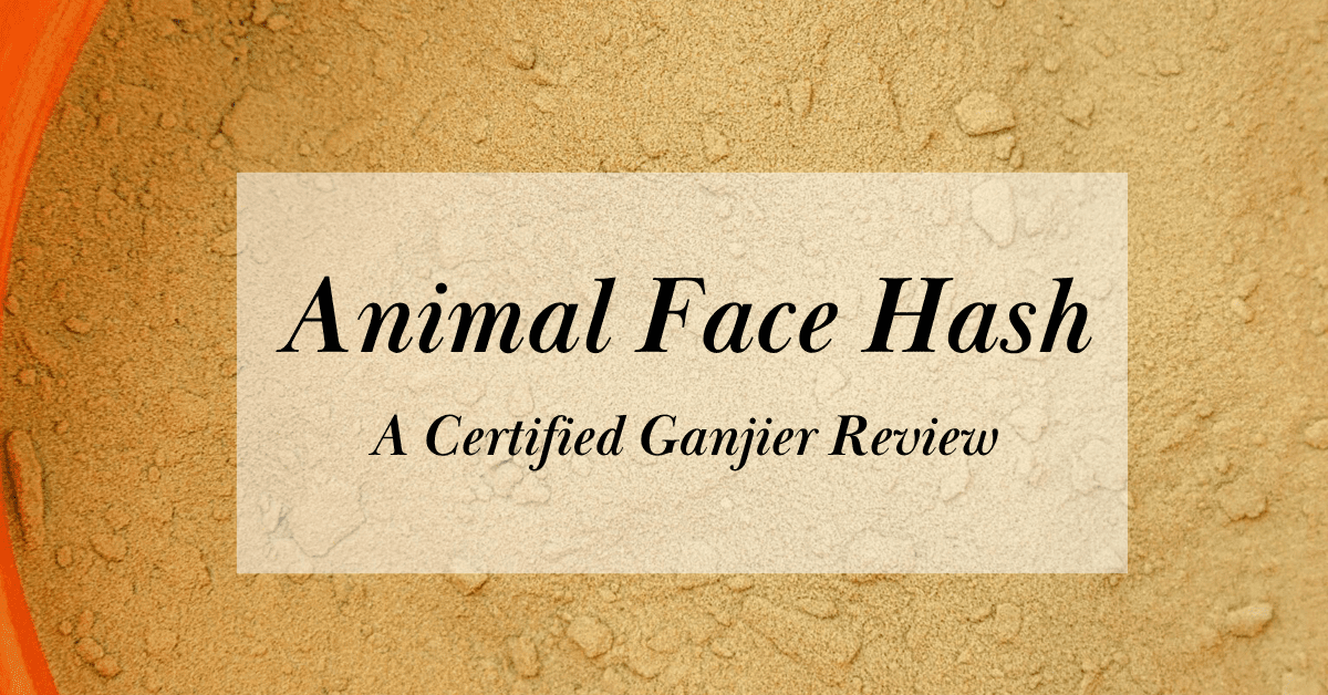 animal face traditional hash review cover image