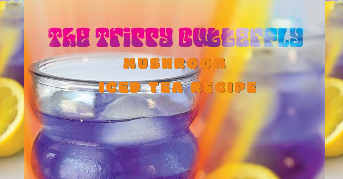 mushroom iced tea recipe cover image