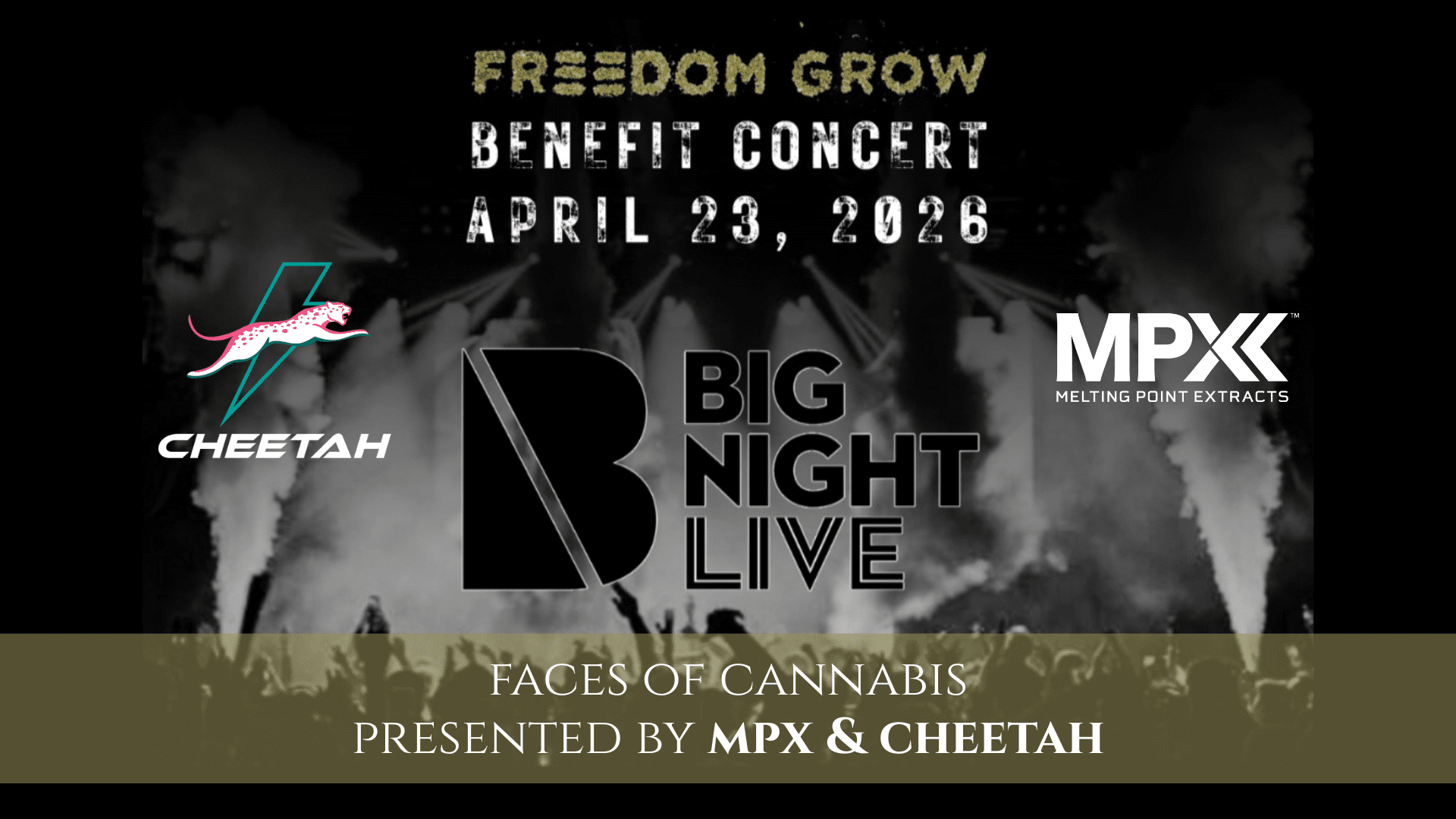 Seshn Band Freedom pr cover image