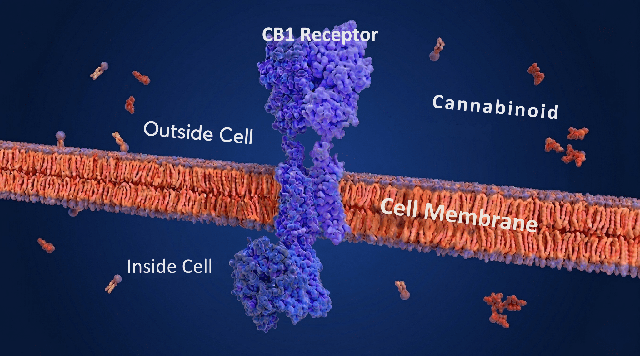 smithers pr cover image