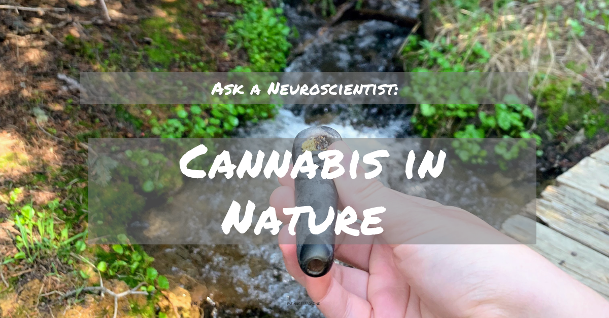 Ask a Neuroscientist: Cannabis in Nature cover image