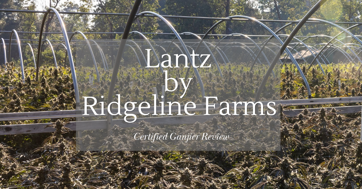 Lantz by Ridgeline Farms review cover image