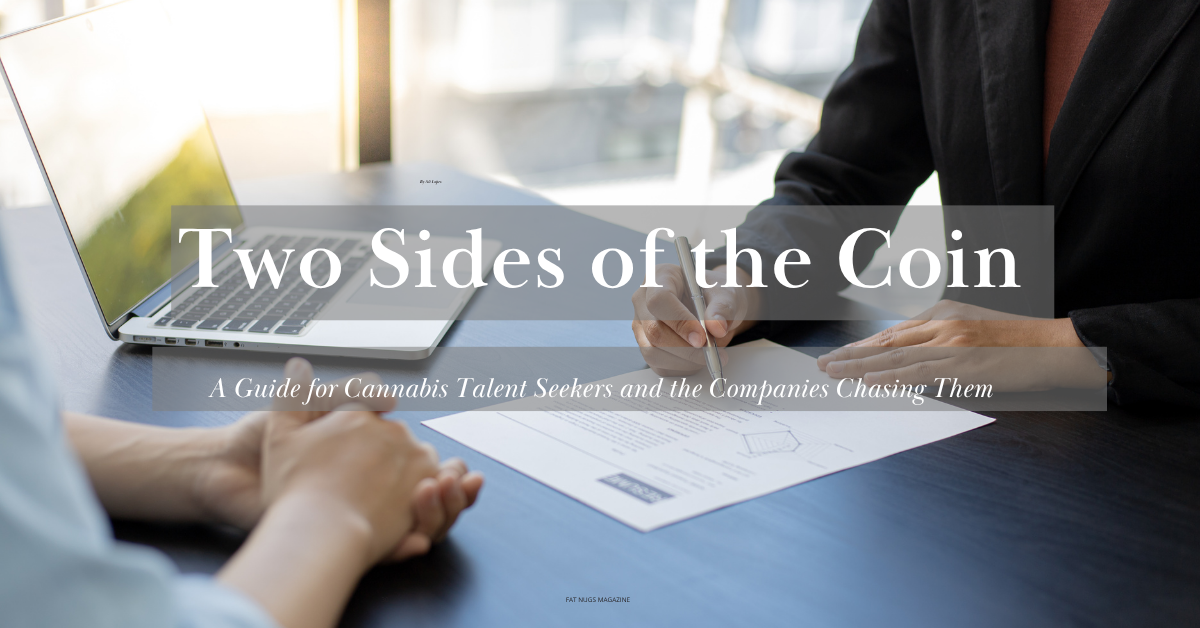 cannabis talent seekers cover image