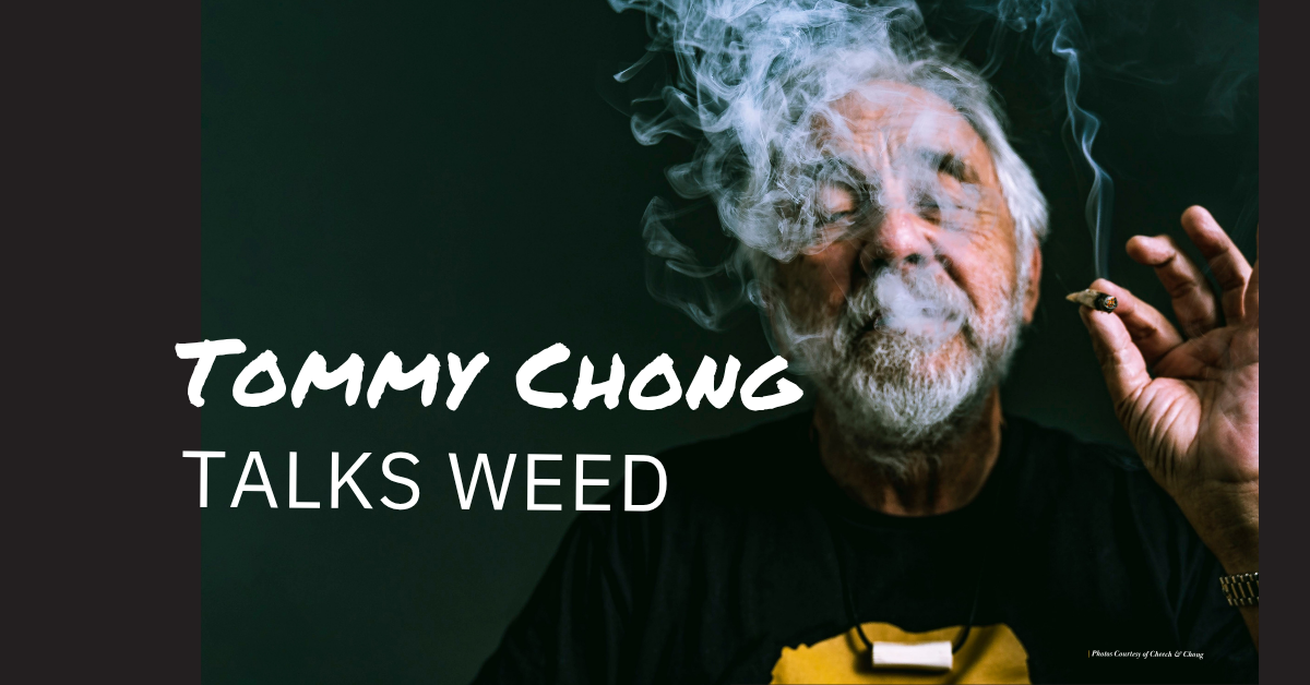 tommy chong talks weed cover image_photo credit cheech and chong