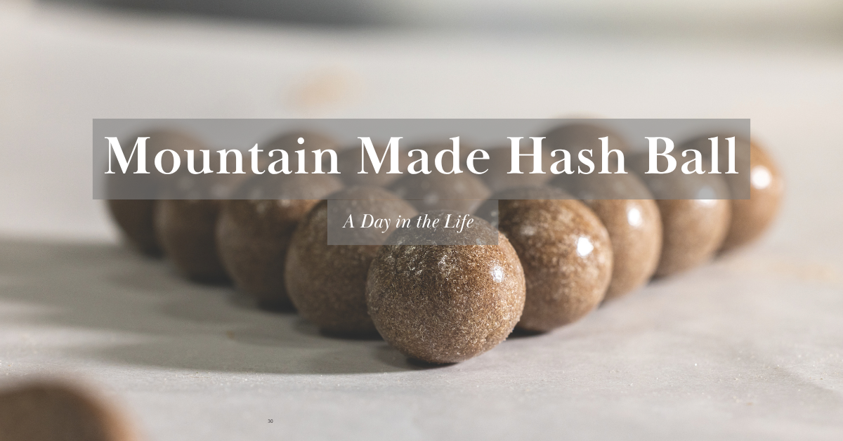 mountain made hash ball cover image