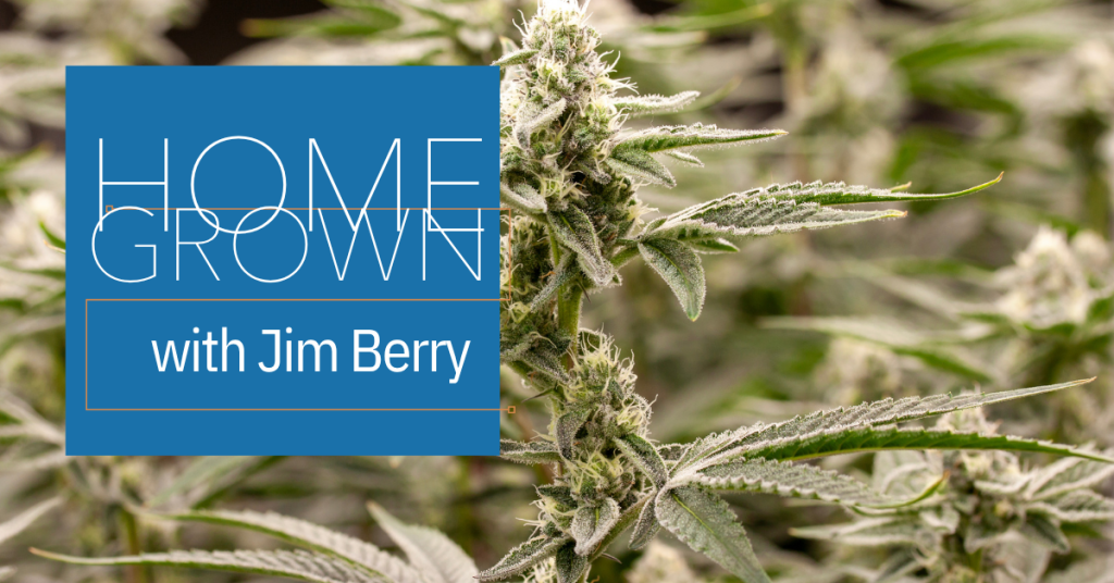 Homegrown with Jim Berry: Transpiration and Vapor Pressure Deficit