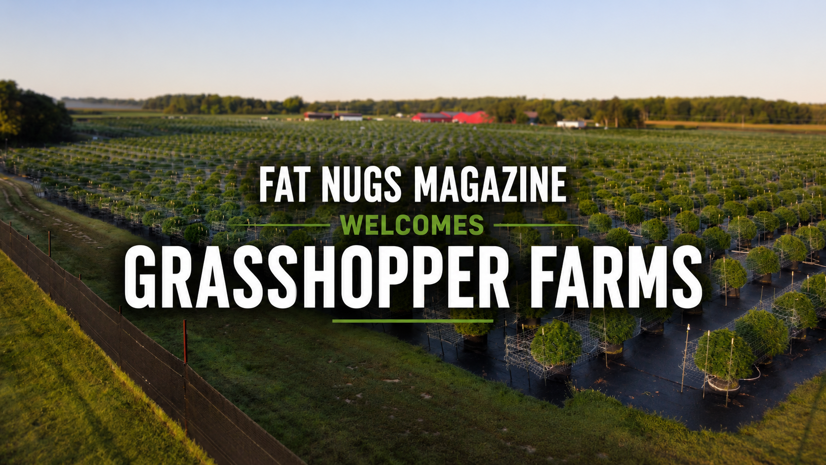 FNM x Grasshopper Farms_PRCover Image