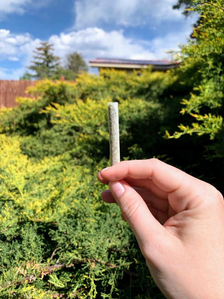MFNY Sour Diesel Infused Prerolls