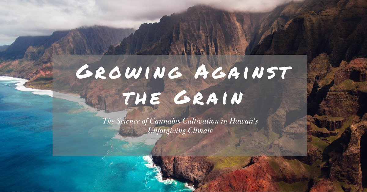 Cannabis Cultivation in Hawaii cover image
