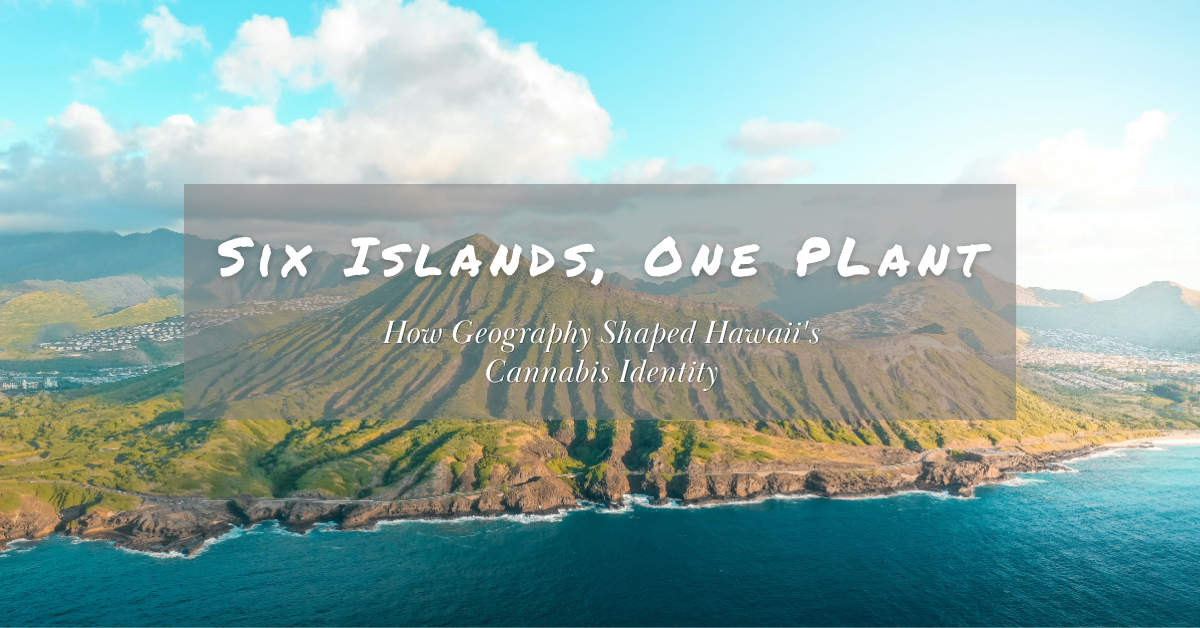 Hawaii's Cannabis Identity cover image