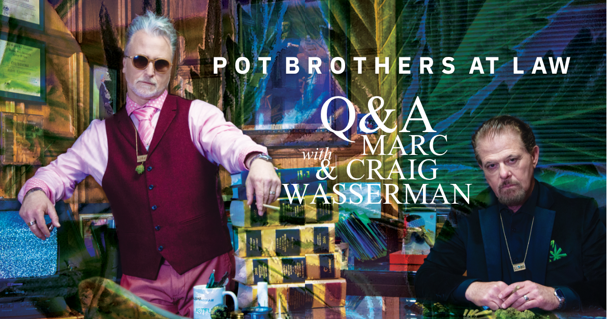 pot brothers at law interview cover image