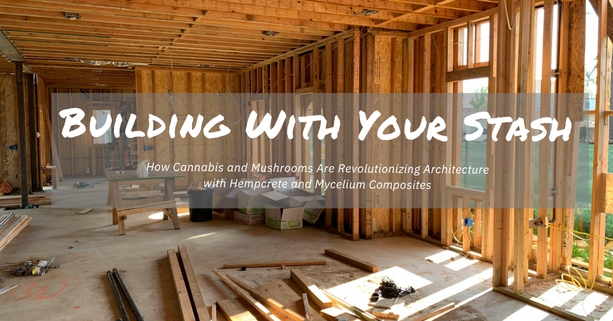 hempcrete and mycelium composites article cover image