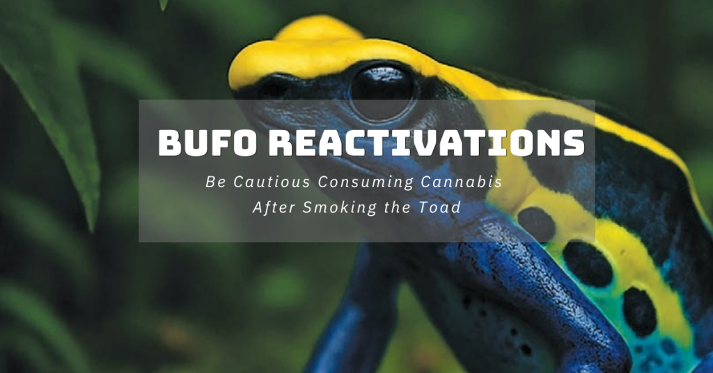 Bufo Reactivations cover image