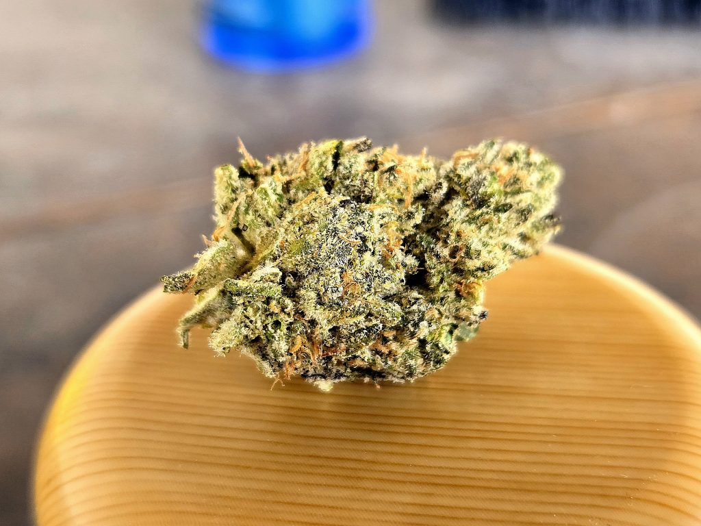 Bubba's Girl strain review strain photo_lucas indrikovs