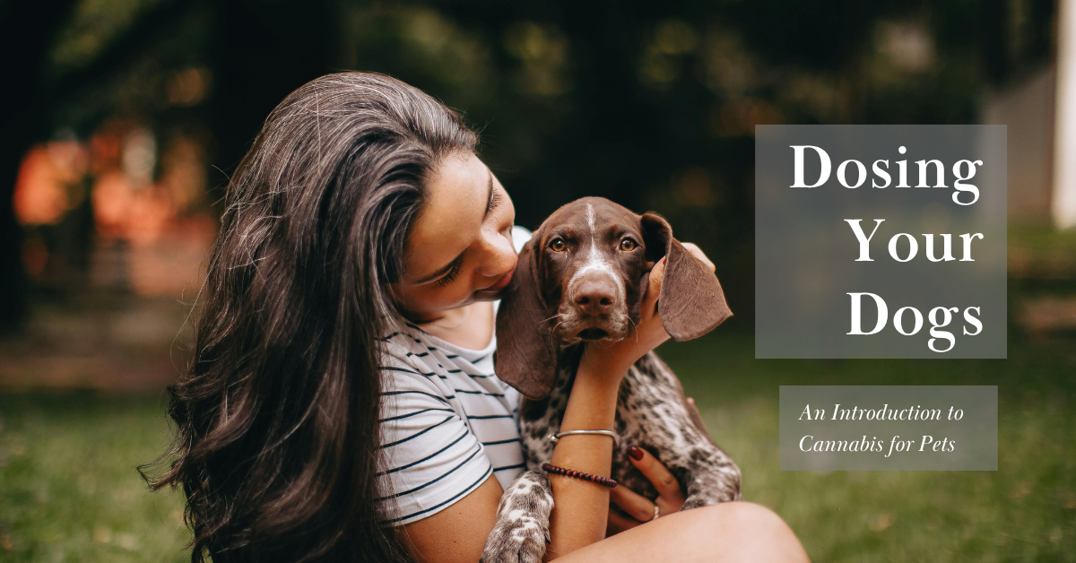 Dosing Your Dogs: An Introduction to Cannabis for Pets_cover image