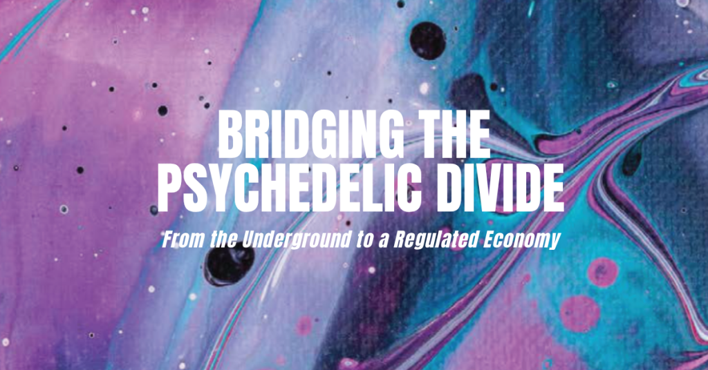 Bridging the Psychedelic Divide_cover image