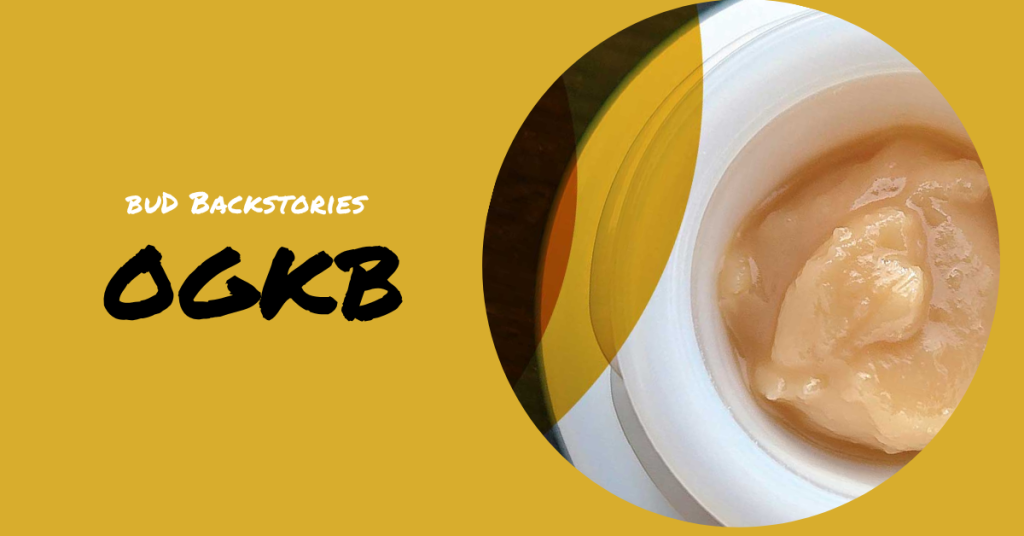 budbackstories ogkb_cover image