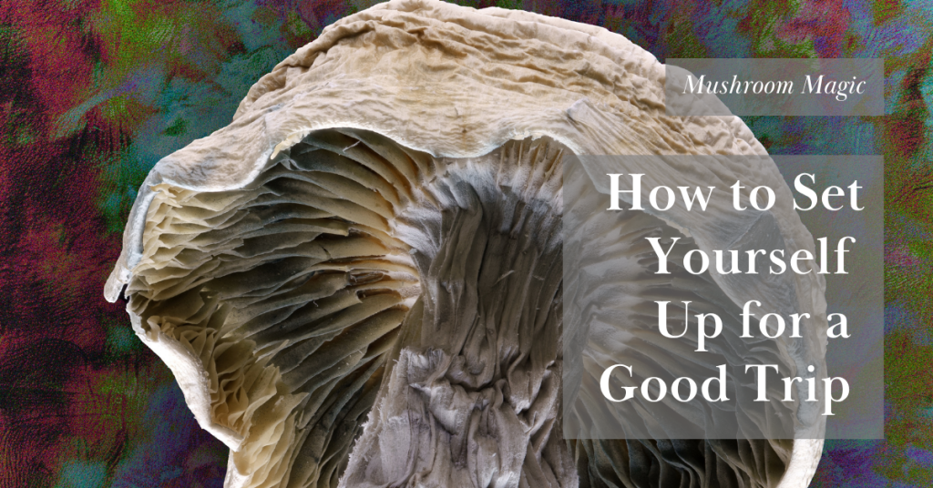magic mushrooms_good trip_cover image