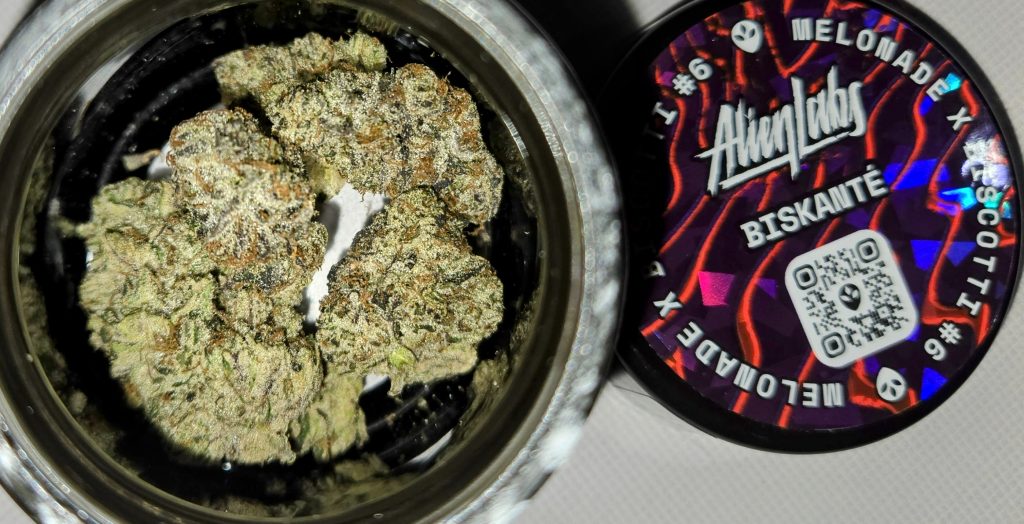a headie tour of arizona_alien labs 1