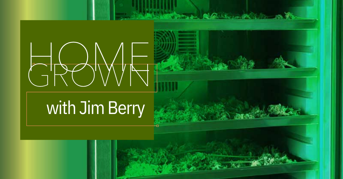 homegrown-drying-and-curing-cannabis cover image