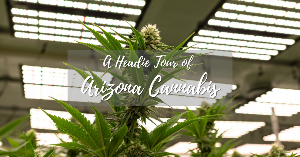 a headie tour of arizona cannabis_cover image