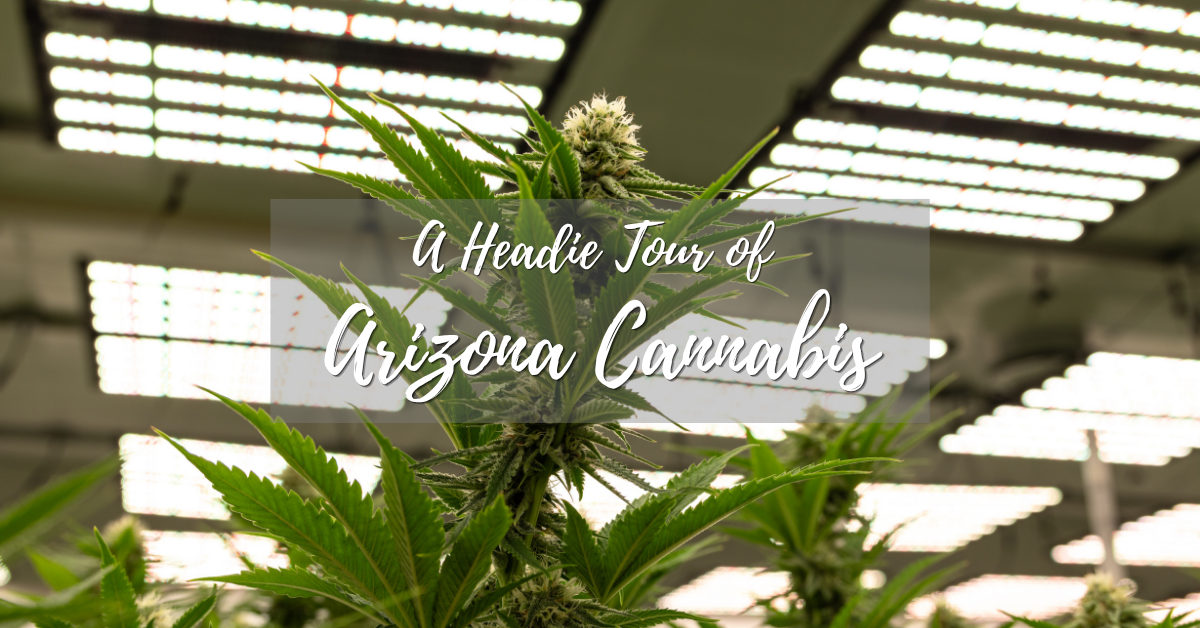 a headie tour of arizona cannabis_cover image