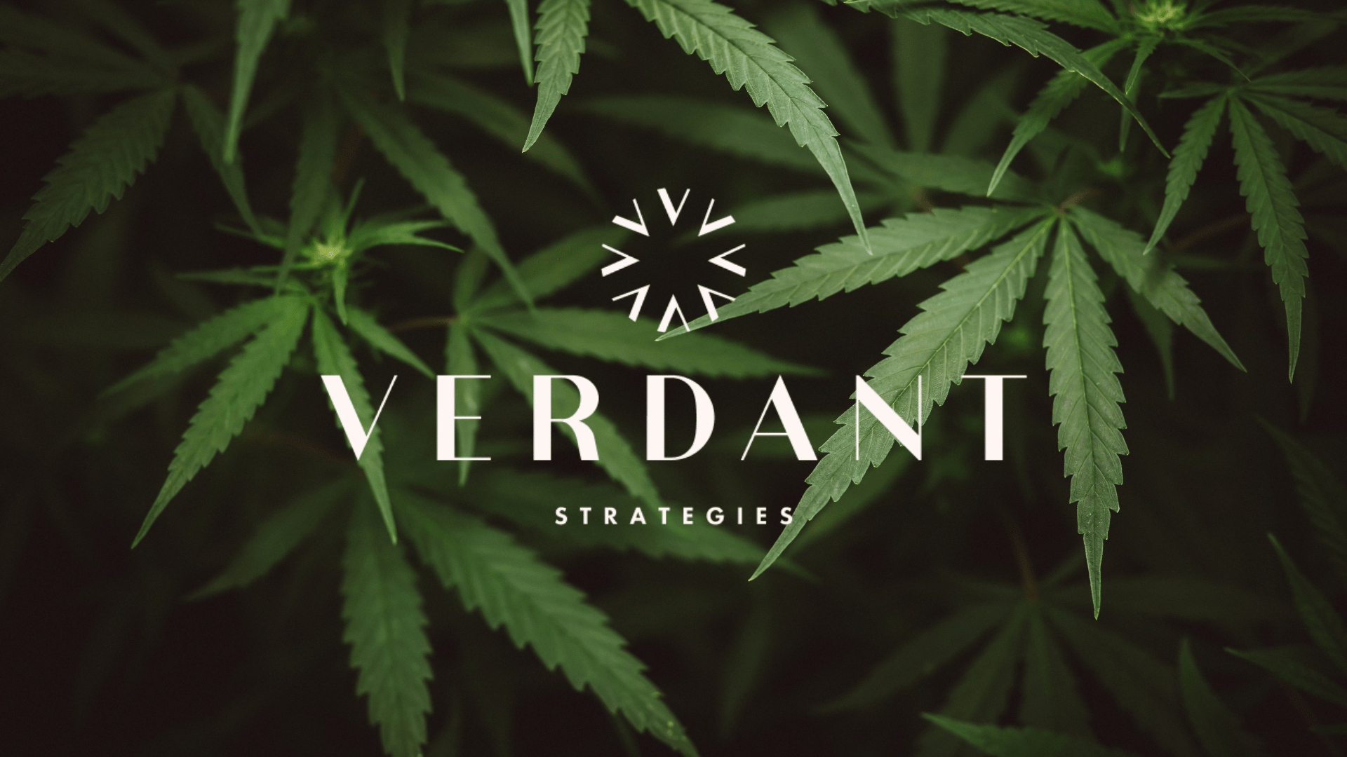 Verdant Strategies x FNM_PR Cover Image