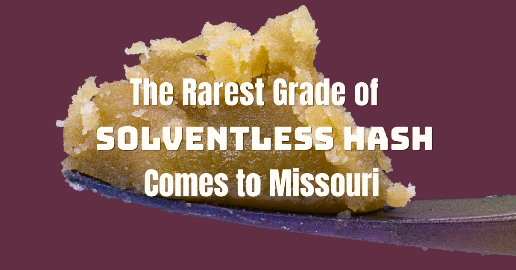 Piatella solventless hash comes to missour_FNM Cover Images Template (1)
