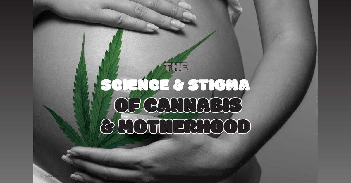 cannabis and motherhood_FNM Cover Images Template (2)