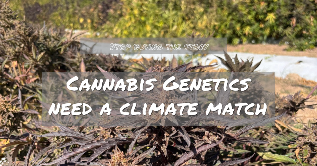 Cannabis Genetics Need a Climate Match_FNM Cover Images Template
