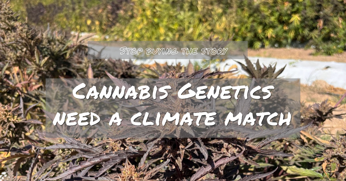 Cannabis Genetics Need a Climate Match_FNM Cover Images Template