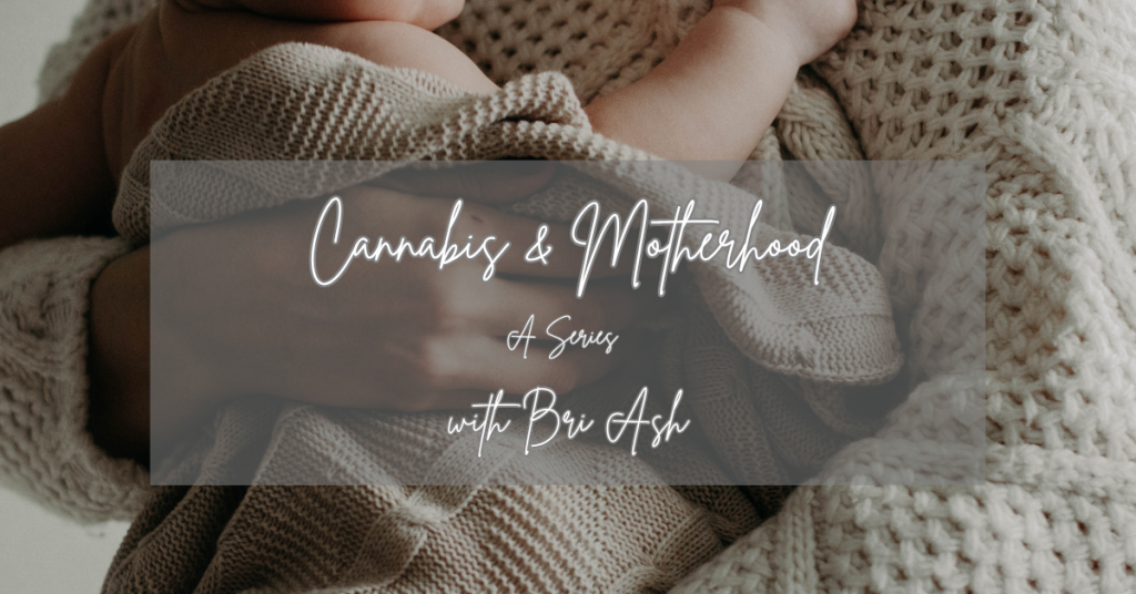 bri ash cannamom_FNM Cover Images Template (7)