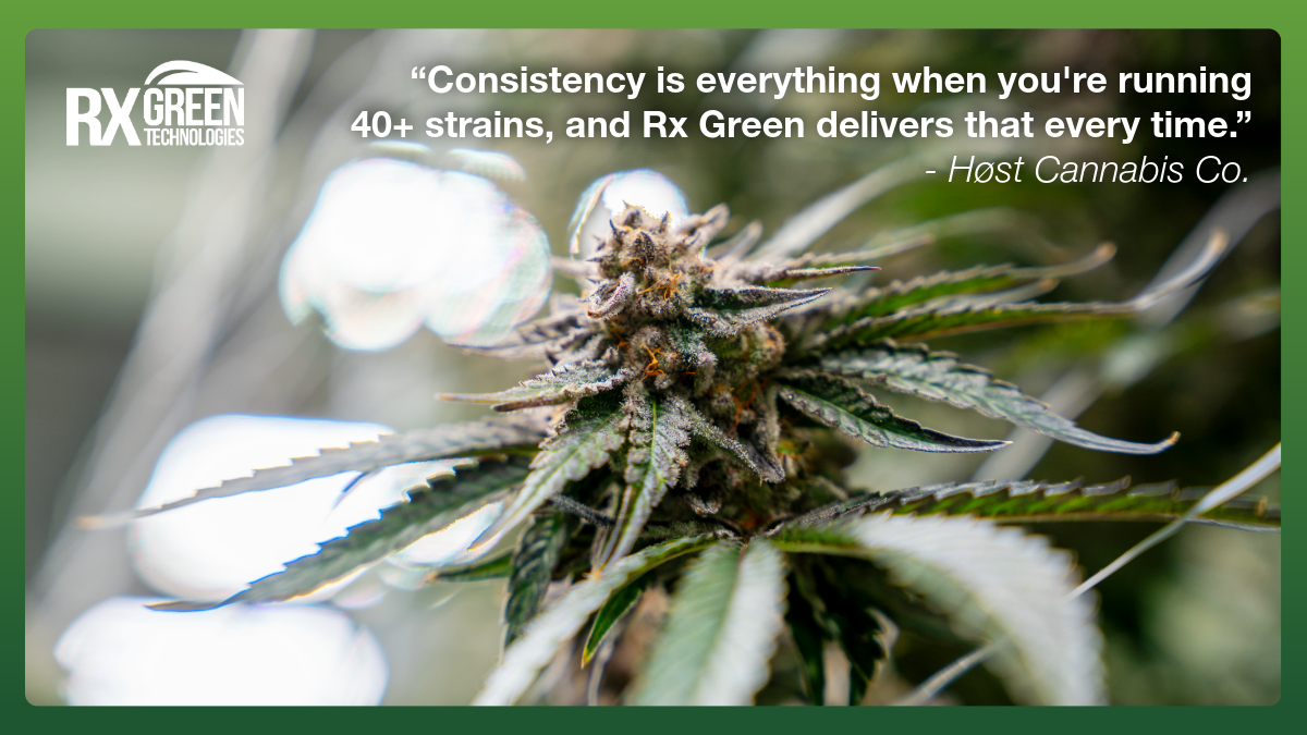 Feature Image RX Green Technologies 9_1_26